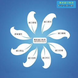 合肥食品進(jìn)口報(bào)關(guān)流程及時(shí)間解析 上海港口報(bào)關(guān)代理與國(guó)內(nèi)貿(mào)易代理服務(wù)