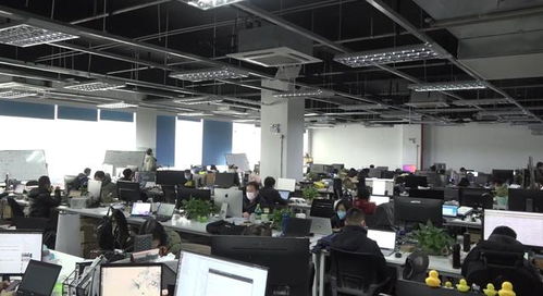 上海華獻(xiàn)軟件“刷臉啦”技術(shù)服務(wù)，以科技力量助力城市疫情防控